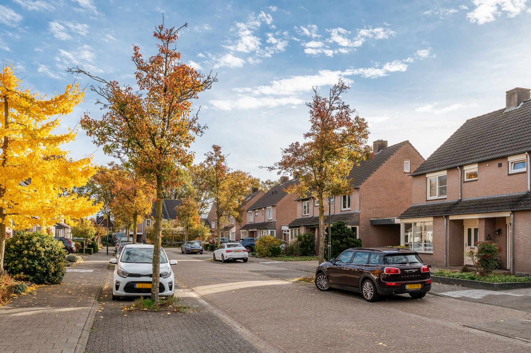 Photo 45 of Rhônelaan 11