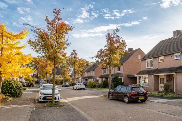 Photo 45 of Rhônelaan 11