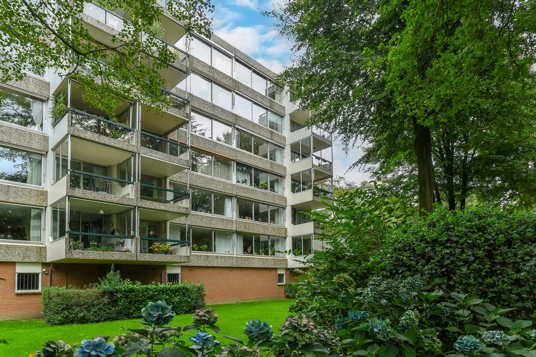 Foto 1 van Kapelleboom 32