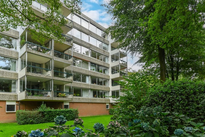 Foto 1 van Kapelleboom 32