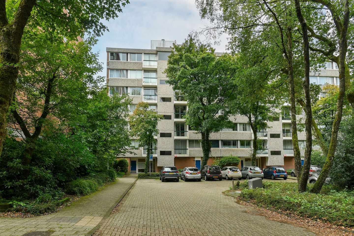 Foto 5 van Kapelleboom 32