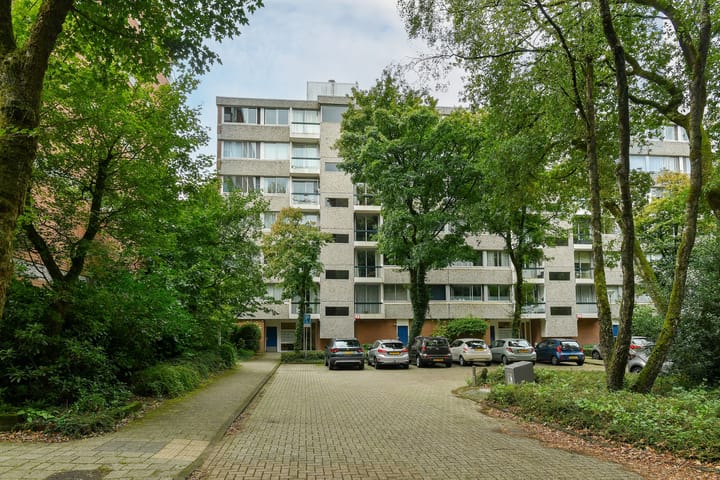 Foto 5 van Kapelleboom 32