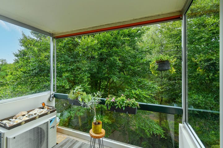 Foto 20 van Kapelleboom 32