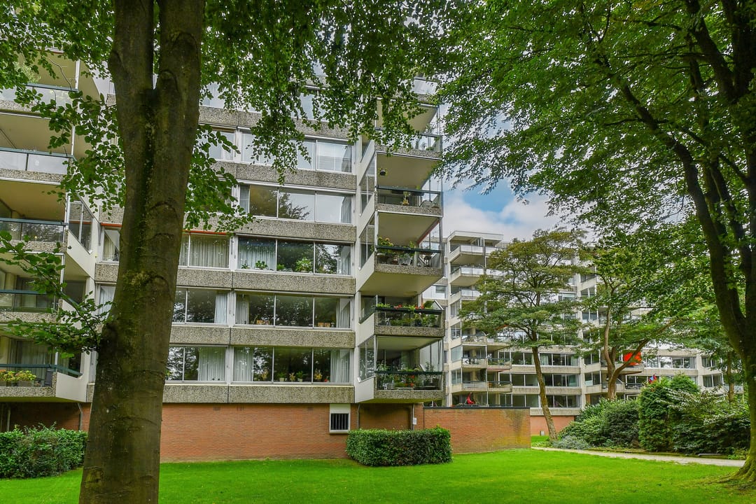 Foto 32 van Kapelleboom 32