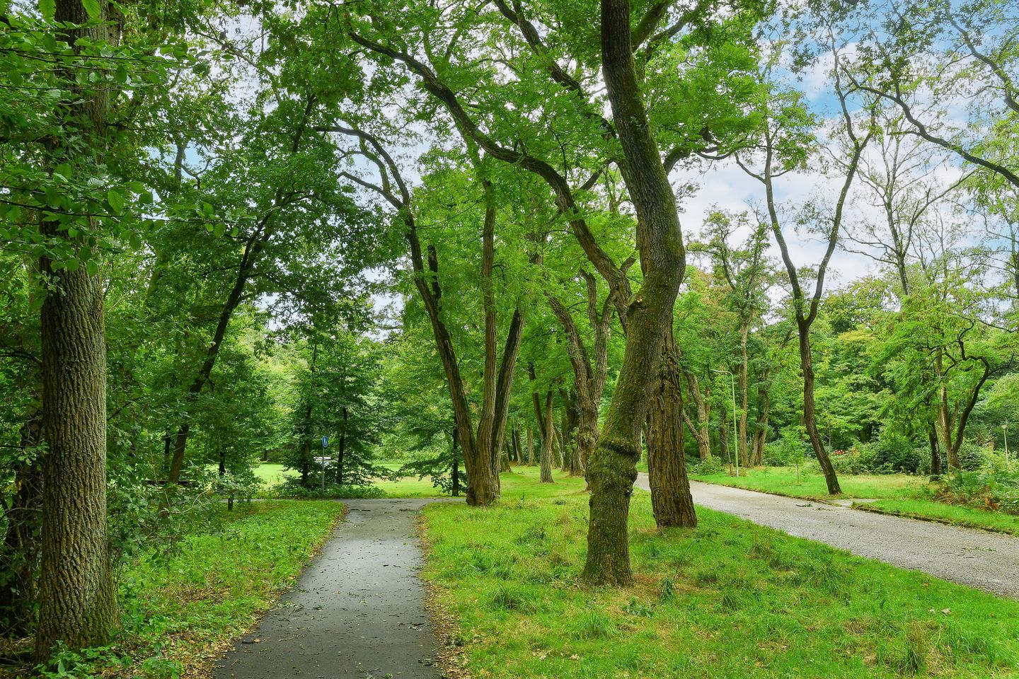 Foto 35 van Kapelleboom 32