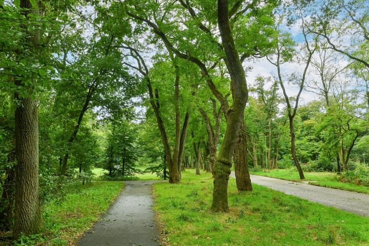 Foto 35 van Kapelleboom 32