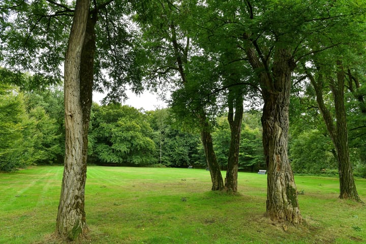 Foto 36 van Kapelleboom 32