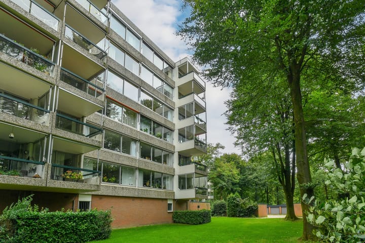 Foto 33 van Kapelleboom 32