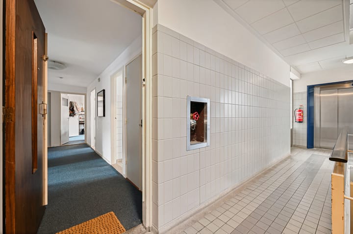 Foto 3 van Laan van Nieuw-Oost-Indië 29