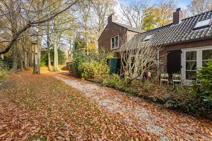 Photo 40 of Park Rodichem 84