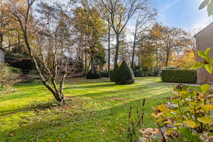 Photo 43 of Park Rodichem 84