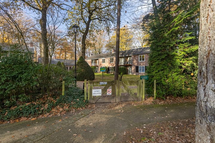 Photo 45 of Park Rodichem 84