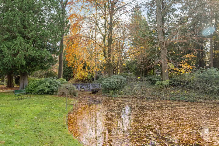 Photo 47 of Park Rodichem 84