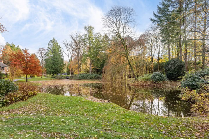 Photo 50 of Park Rodichem 84