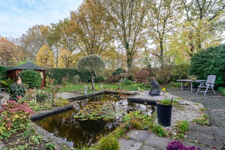 Langdonk 4 tertiary image