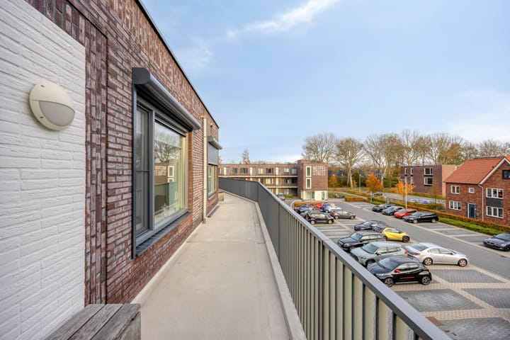 Photo 26 of Litho 61