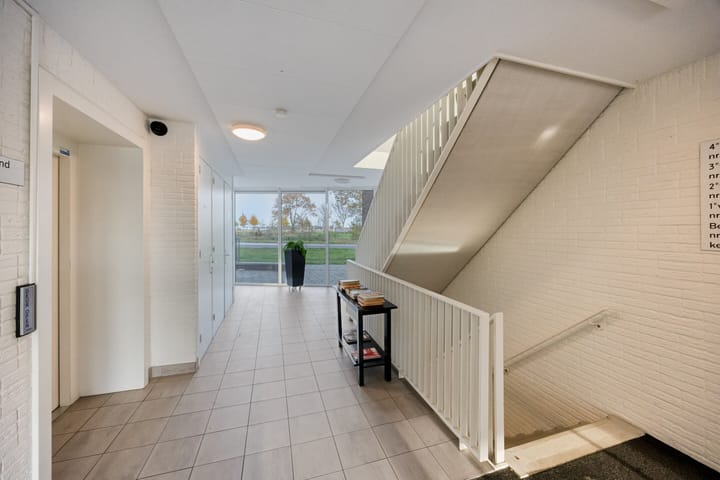 Photo 28 of Litho 61