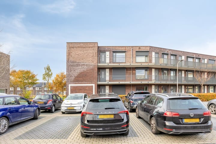 Photo 32 of Litho 61