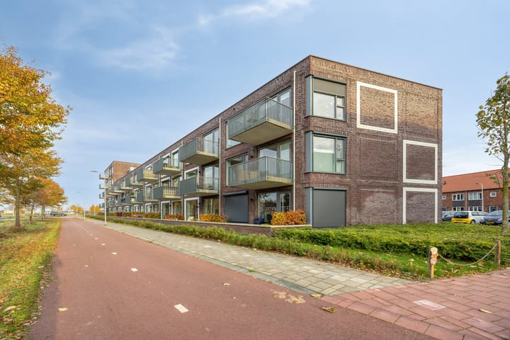 Photo 35 of Litho 61