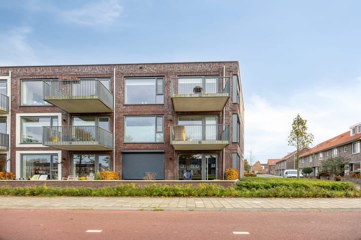 Photo 36 of Litho 61