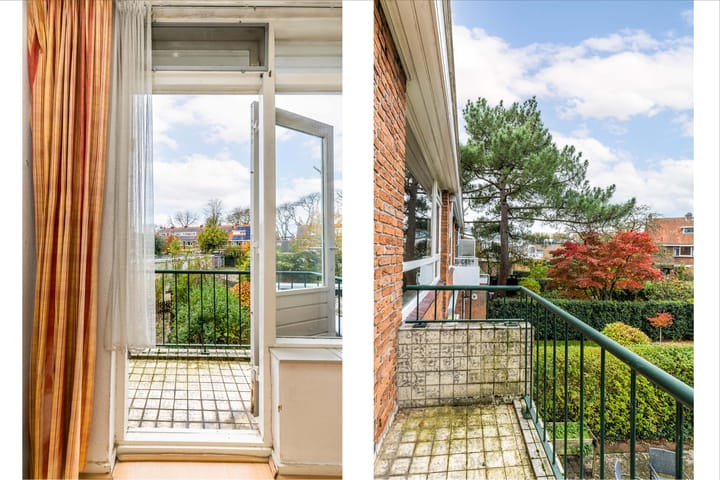 Photo 19 of Strausslaan 59