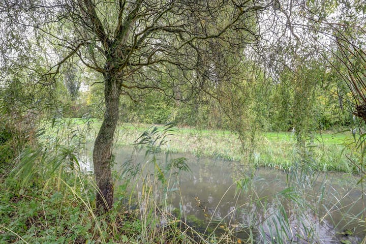 Foto 31 van Looierstraat 25