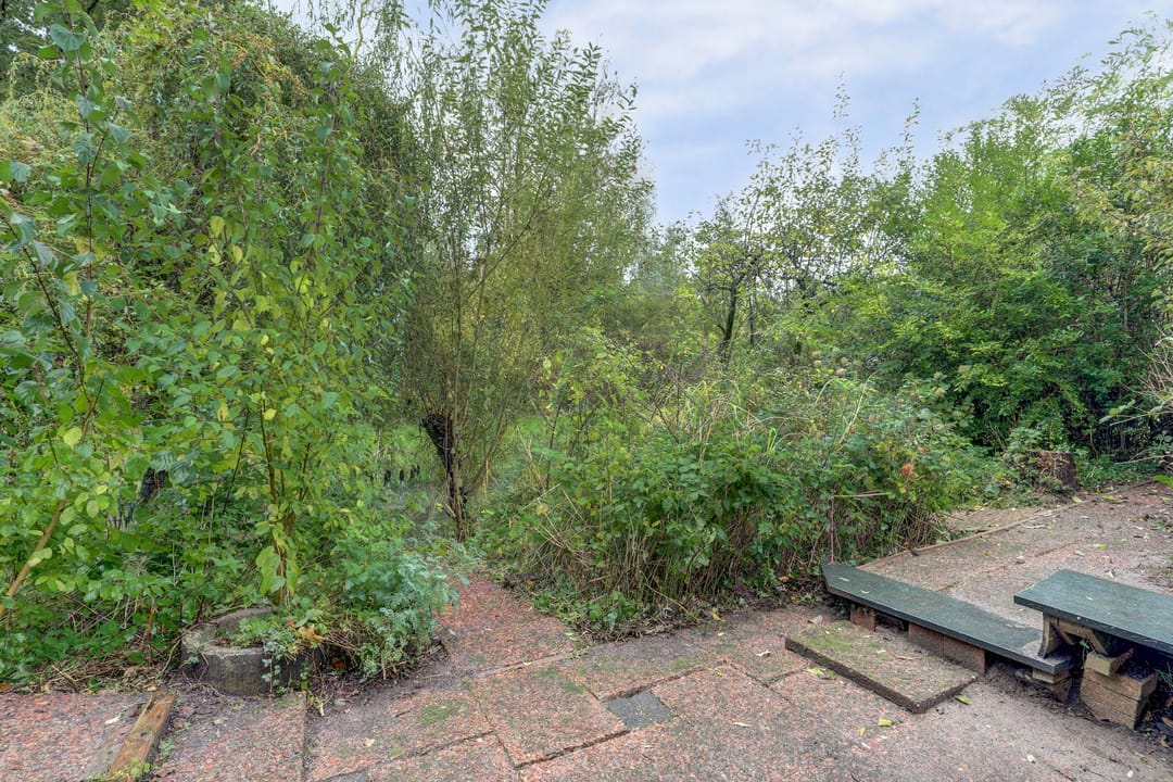 Foto 32 van Looierstraat 25