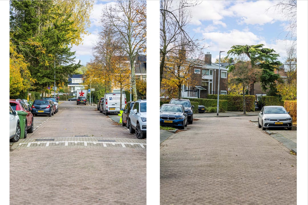 Photo 37 of Strausslaan 59