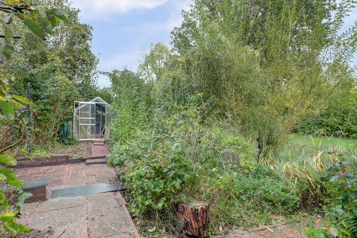 Foto 33 van Looierstraat 25