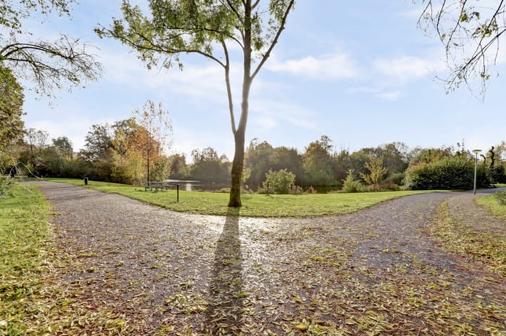 Foto 41 van Looierstraat 25