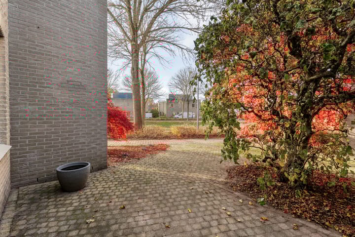 Foto 45 van Torenvalk 21