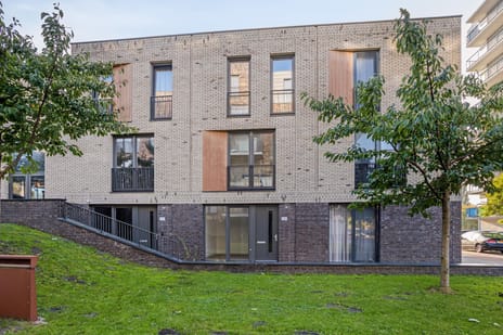 undefined main image