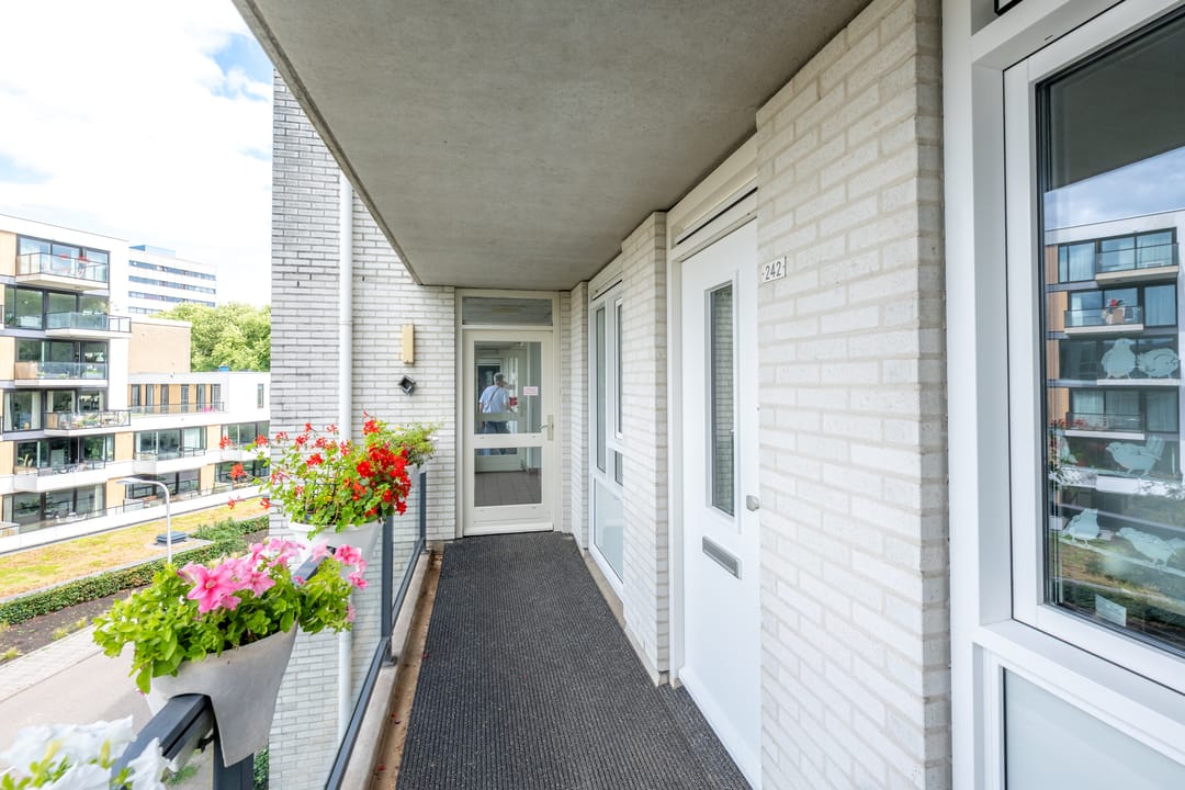 Photo 16 of Ravellaan 242