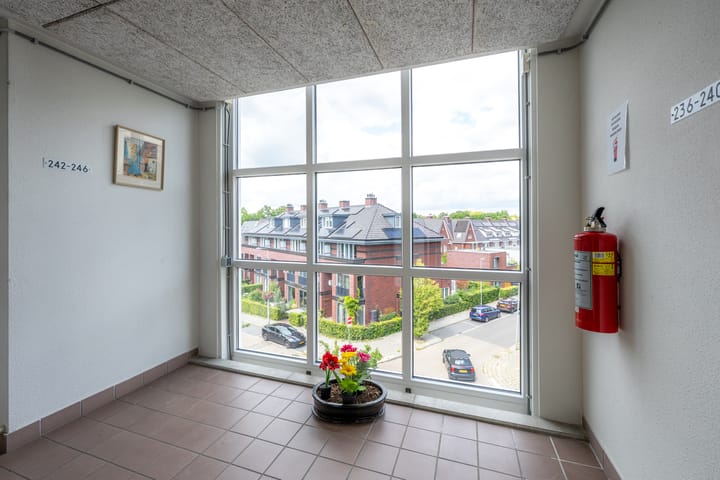 Foto 21 van Ravellaan 242