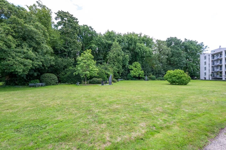 Foto 29 van Ravellaan 242