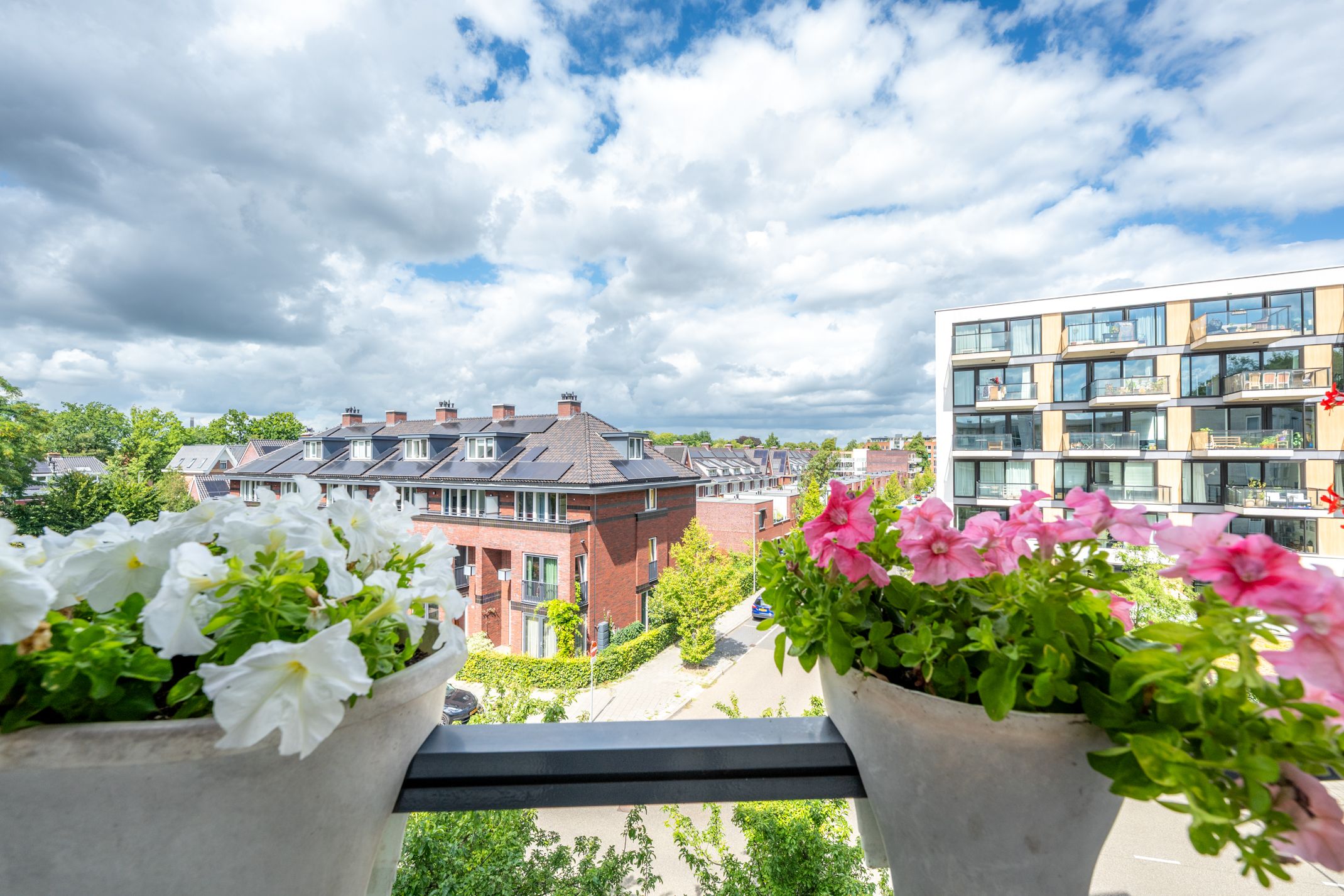 Photo 18 of Ravellaan 242