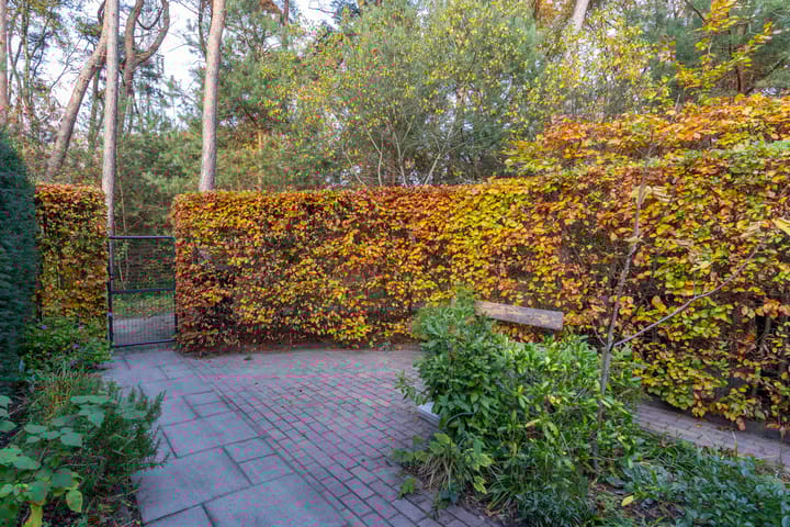 Photo 32 of Arianehof 34