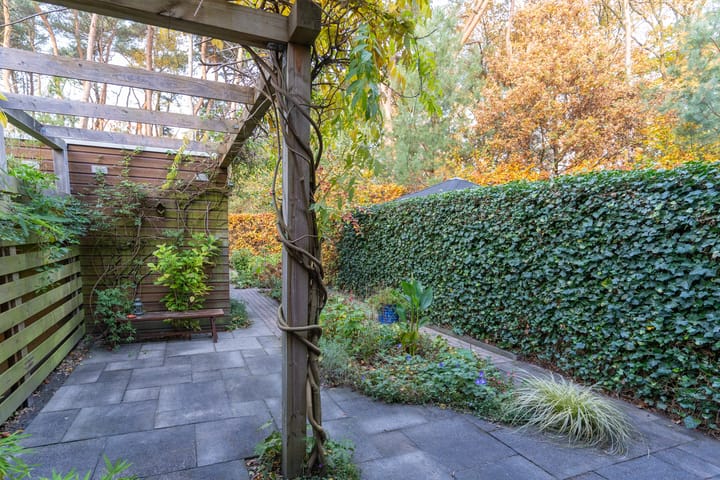 Photo 31 of Arianehof 34