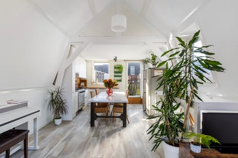 Rodenburgstraat thumbnail