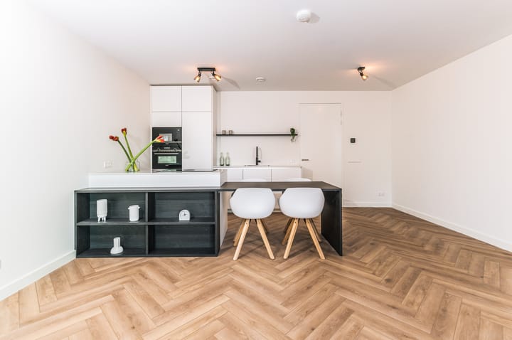 Photo 4 of Badhuiskade 213