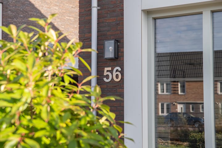 Photo 12 of Kievit 56