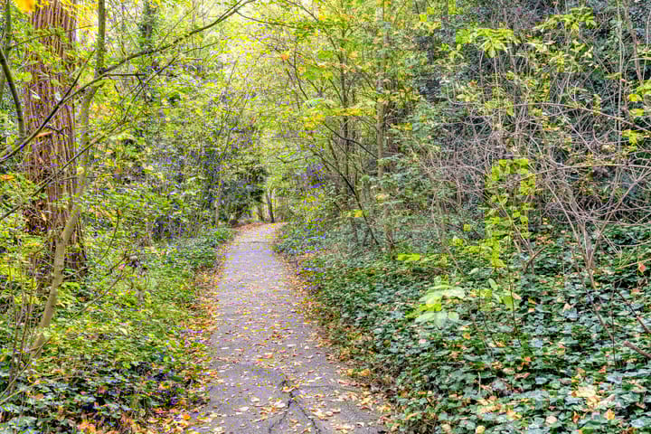 Photo 37 of Maldegempad 4