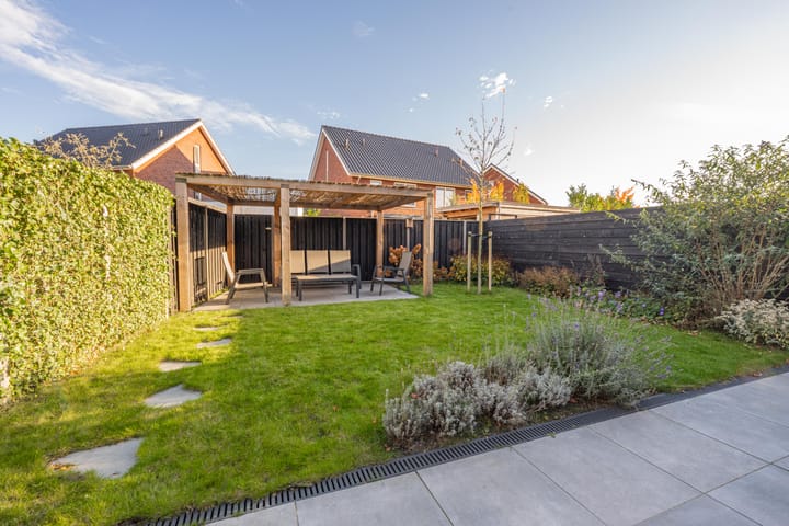 Photo 43 of Kievit 56