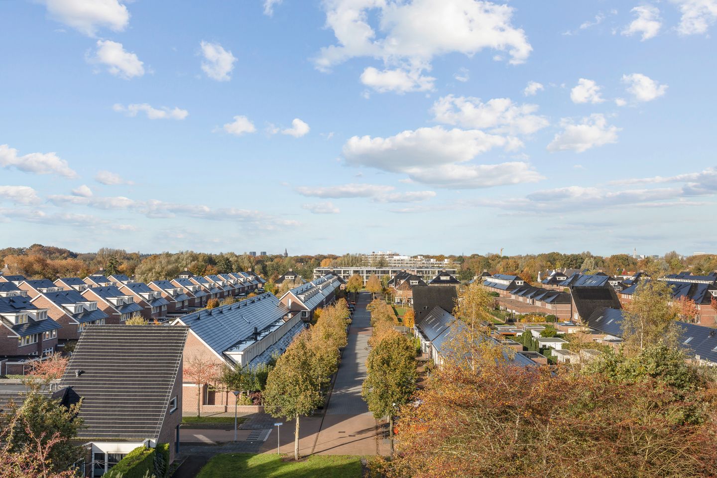 Foto 25 van Vossenlaar 8