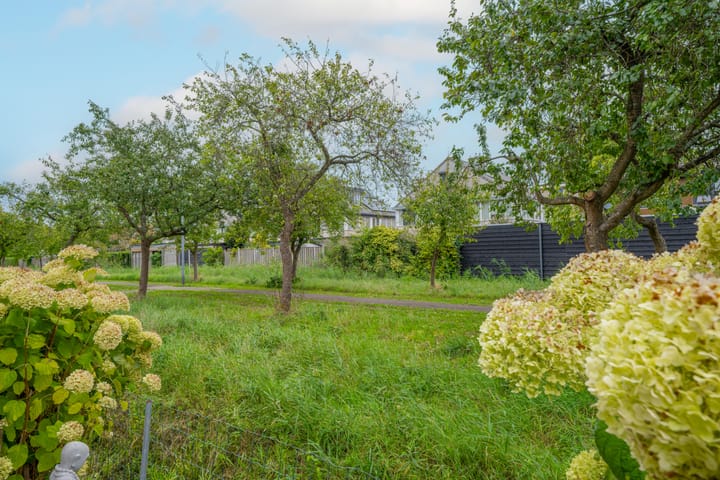 Photo 42 of van Stralenstraat 8