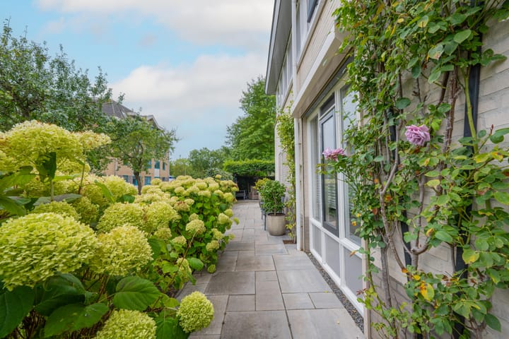 Photo 44 of van Stralenstraat 8