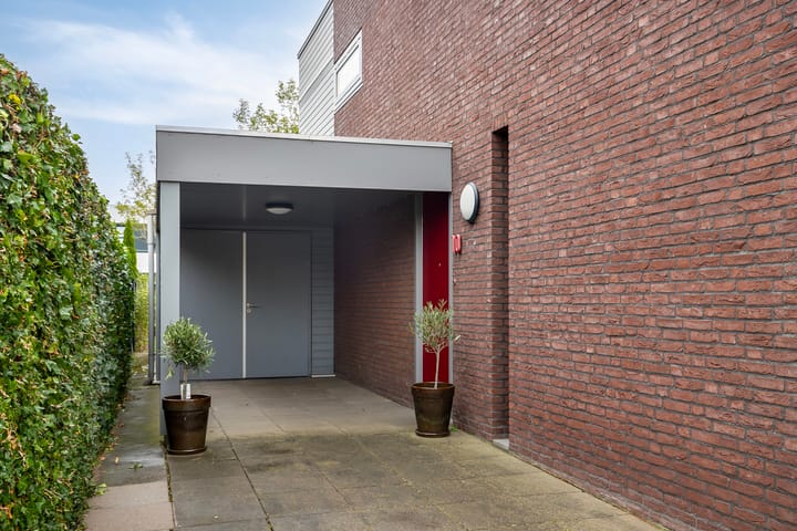 Foto 6 van Sperwer 10