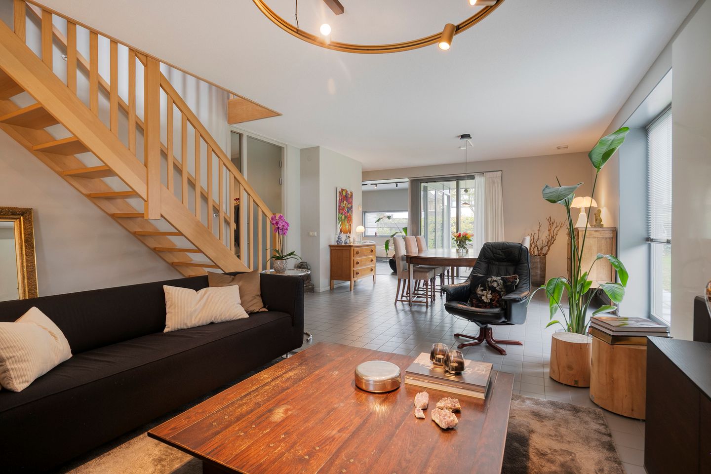 Foto 10 van Sperwer 10