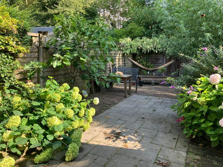 Photo 31 of Duunmede 21