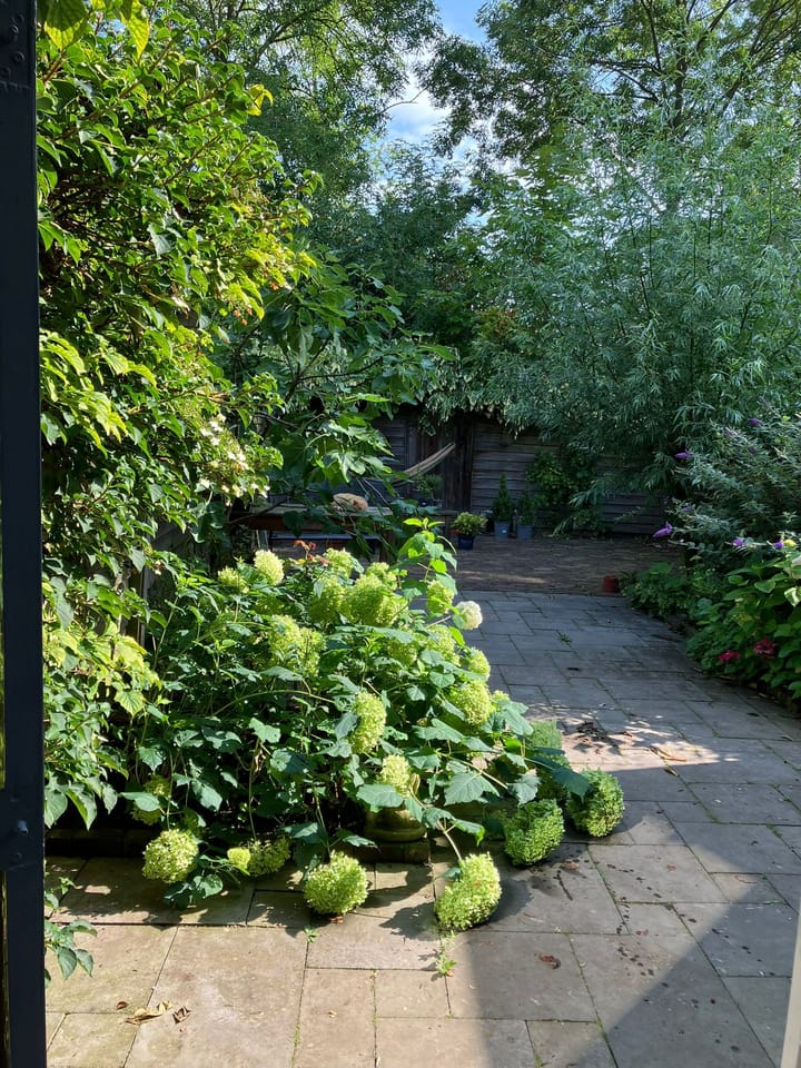 Photo 32 of Duunmede 21